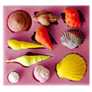 Silicone Cartoon Seashell Design Cake Baking Mould Mat Kitchen DIY Decorating