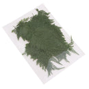 50 Pieces Long Real Pressed Leaves Dried Flower Embellishments for Card Making