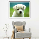 5D DIY Full Drill Diamond Painting Cute Animals Cross Stitch Craft Kit (04)