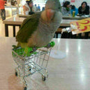 HOT Parrot Bird Toys Supermarket Shopping Cart Intelligence Growth Growth E K1W2