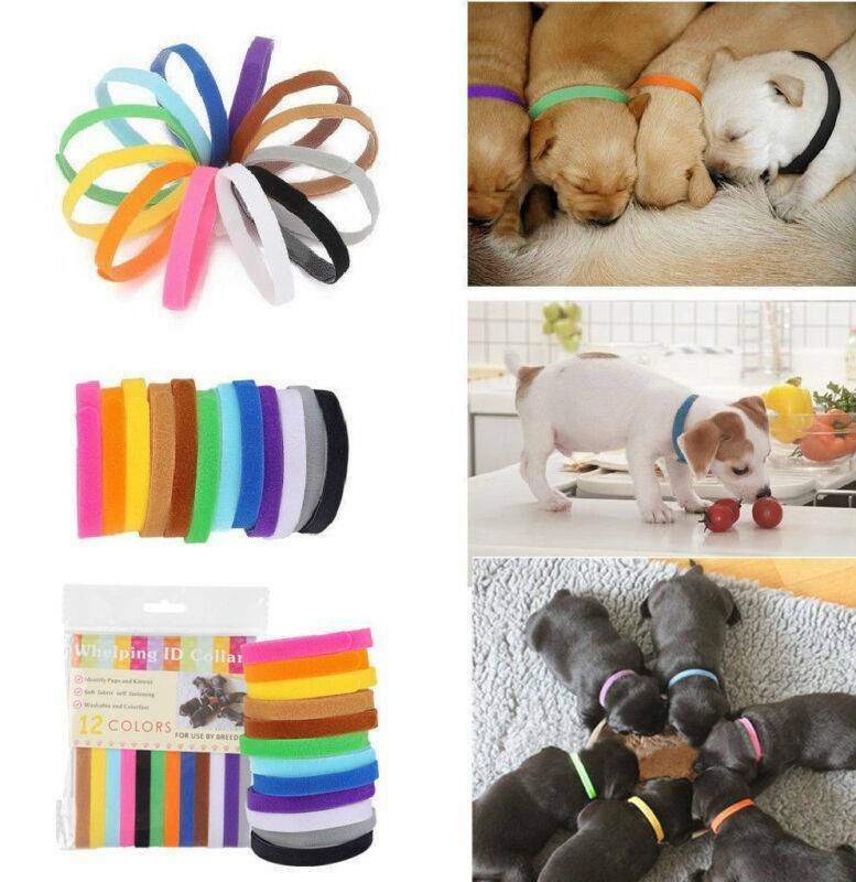 12pcs/set Adjustable Newborn Puppy ID Collar Pet Kitten Colors Cat Band Whelping