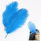 20 x natural ostrich feather 25-30cm blue decoration festivities V1S2