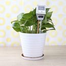 Garden Soil Water Moisture PH Meter Tester Digital Analyzer Tester Detector