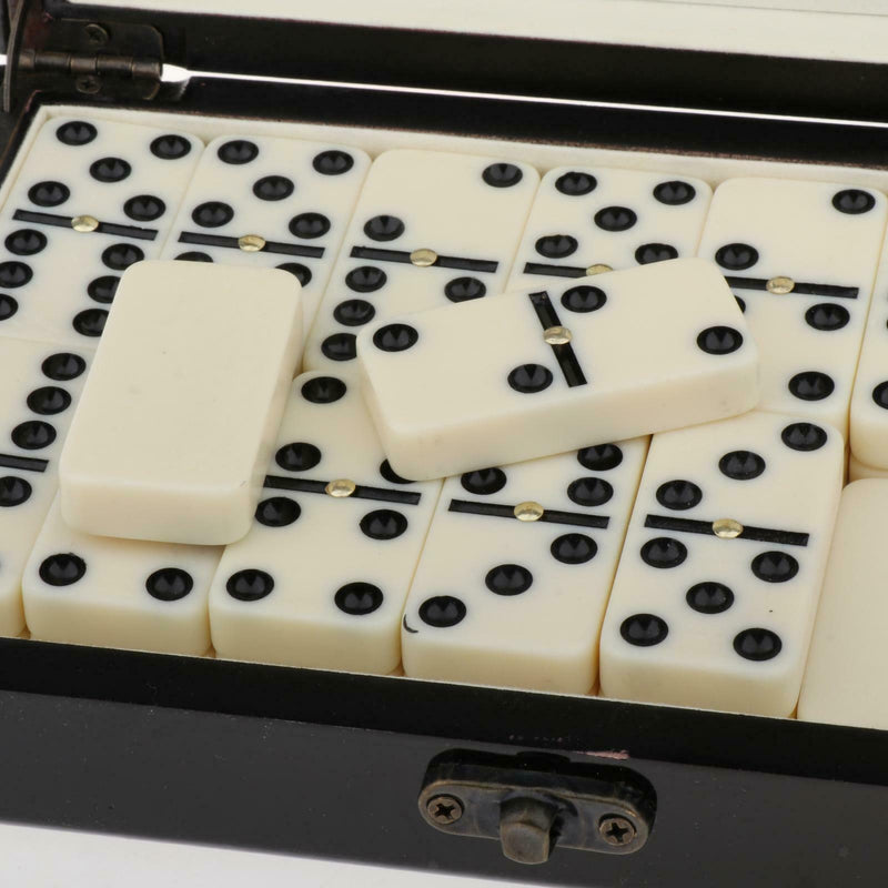 Domino Tiles Set Classic Table Game & Carry Case for Kids Adults 2-4 Players