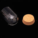 8x8&6.5x10cm Glass Dome Cover Cloche Jar Succulent Terrariums with Wood Cork