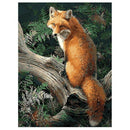 Paint By Number Kit DIY Oil Painting Cloth Digital Home Decor, Fox on the t