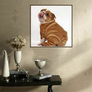 5d diy diamond painting cross stitch kit diamond embroidery dog diamond ani