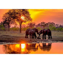 5D DIY Full Drill Diamond Painting Cross Stitch Embroidery Kit (Elephant04)