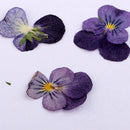 32pcs Pressed Dried Flowers Muti Species for Candle Jewelry Epoxy Scrapbooking