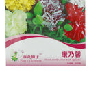 Beautiful Carnation Seeds LJerennial flower Dianthus Caryophyllus Clove SeedLJ