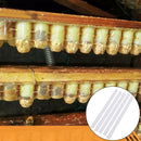 5pcs Beekeeping Double Row Queen Bee Device Set Artificial Beehive 63 Holes LJ