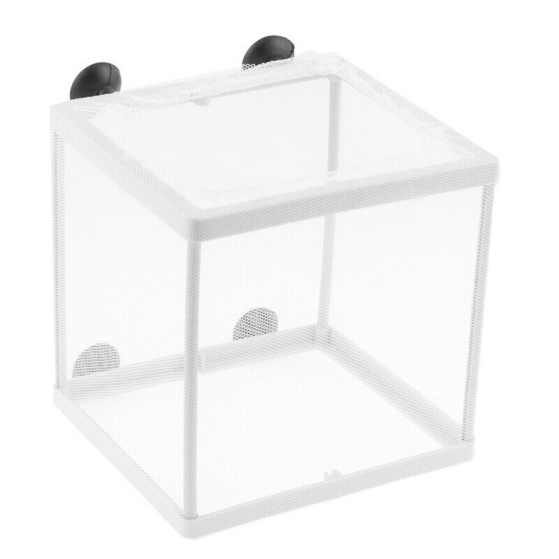 Fish Tank Plastic Frame White Net Fry Hatchery Breeder w Suction Cups C9X6