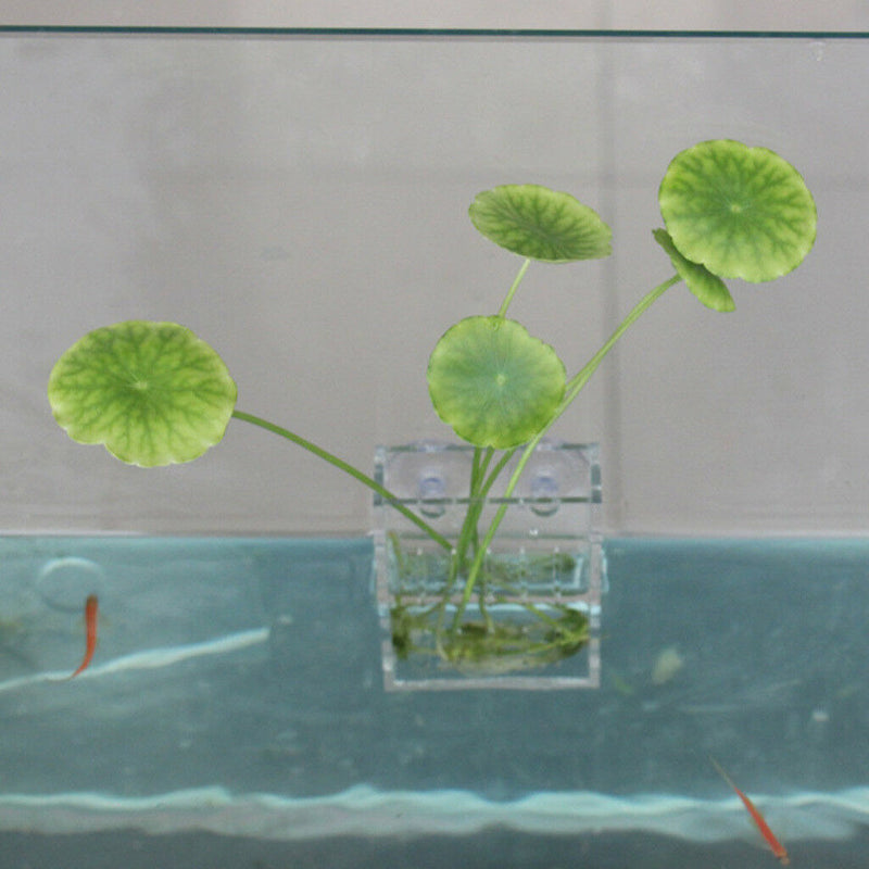 Thin Durable Acrylic Aquarium Fish Tank Plants Planter Pot