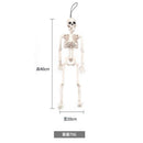 Poseable Human Skeleton Prop Halloween Home Party Decor
