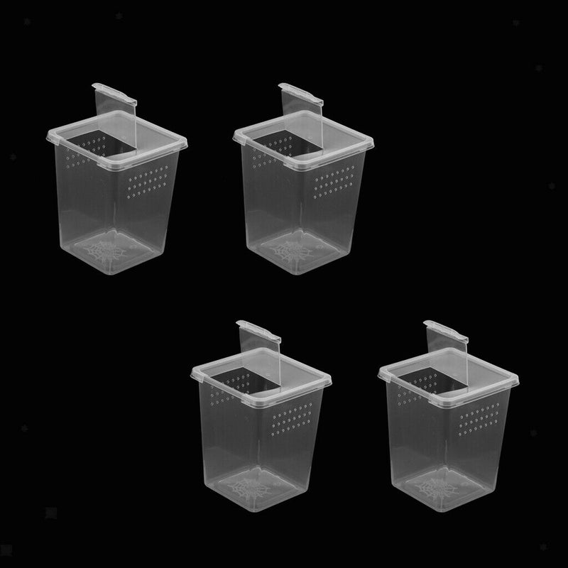 4x Clear Plastic Insect Habitat Feeding Box Container DURABLE 8x8x11cm