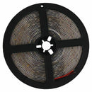 5M SMD 3528 300LEDs LED Strip Light 12V Power Supply White