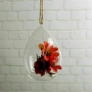 Hanging Glass Vase Ellipse Hanging Terrarium Glass Vase Hydroponic Office E
