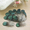 50pcs Lady Amherst natural green pheasant feathers for-craft/millinery/jewe W5A1