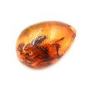 Fashion Insect Stone Scorpions Inclusion Amber Baltic Pendant Necklace Gift 3C