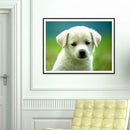5D DIY Full Drill Diamond Painting Cute Animals Cross Stitch Craft Kit (04)