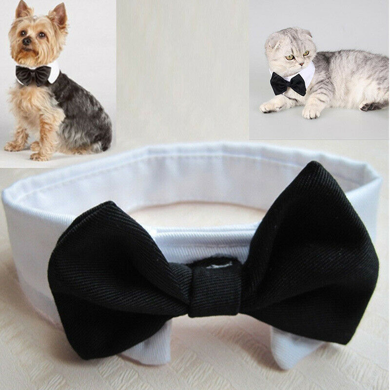Pet Dog Cat Clothing Cute Bow Tie Suit Puppy Costume Jumpsuit Coat