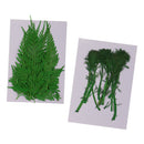 24x Real Pressed Leaves Natural Organic Dried Flowers DIY Arts Floral Decors