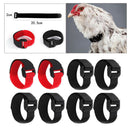 8x Chicken Collar Free Neckband Prevent Chicken from Screaming for Rooster