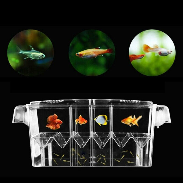 4 Rooms High Clear Fish Breeding Box Acrylic Aquarium Breeder Box Double Gu