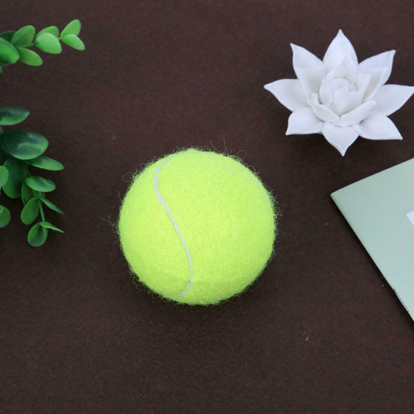 Outdoor Sports Beginner Elastic Training Special Tennis Ball (No Line) #gib
