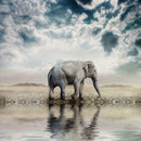 5D DIY Full Drill Diamond Painting Cross Stitch Embroidery (Elephant09)