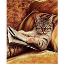 Glasses Cat Lying On The Sofa Reading Book,Diy Diamond Embroidery,5d,Cat,Di B3C3