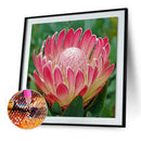 5D DIY Diamond Painting Flower Full Round Drill Embroidery Wall Art (QF314) A