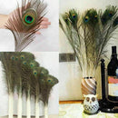 10PCS QUALITY GIFTS DIY PEACOCK EYE TAIL FEATHER FOR MASQUERADE DECORATION