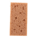 21 Cm Cleaning Brush Car Wash Sponge Water-absorbent Household Washing