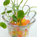 1Bags Jelly Crystal Beads Flower Arranging Decoration Home DecorationSRJC&M