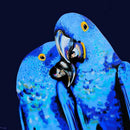 5D DIY Full Drill Diamond Painting Exaggerated Cross Stitch (Parrot08)