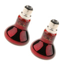 2 Pcs B22 220V UVA Reptile Bulb, Nightlight Infrared Heater for Pet Coop Heater