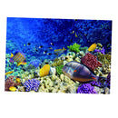 Aquarium   Tank Background Poster Marine Decorative Wallpaper 122x61cm