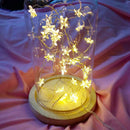 2m 20 LED Star Fairy Lights String Copper Wire Garland Lamp (Warm White)