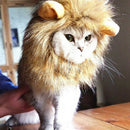 Pet Clothing, Dog or Cat Clothing, Beauty and Beast Clothing, Christmas Rol