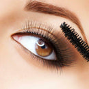 6pcs Double Ended Eyebrow Brush Eyelash Brush Wooden Handle Eye Makeup Tool