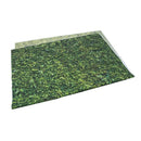 5x7ft(150x210cm) Nature Green Grass Backdrops Photography Wedding or