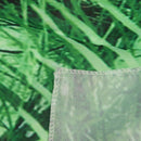 TaTropical Rain Forest Green Tapestry , Palm Trees And Exotic Plants in