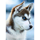 Full Round Drill Diamond Painting 5D DIY Dog Animal Mosaic Decor (Nx071)