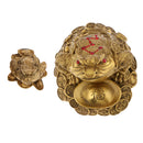 3 Legged Feng Shui Fortune Wealth Chinese Toad Coin Ornaments Lucky Gifts S