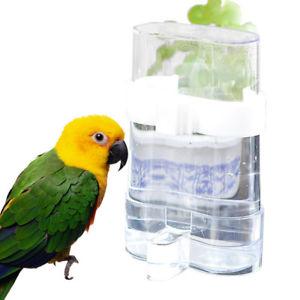 Acrylic Bird Feeder Automatic Seed & Water Feeder Cage Parrot Canary Cockatiel