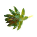 Set of 2 Artificial Succulent Flower Real Touch Simulation Faux Plant 309