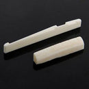Fresh Buffalo Bone Bridge Saddle And Slotted Nut For 6 String Acoustic Guitar SP