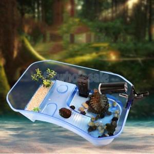 Reptile Tortoise Turtle Vivarium Tank Fish Aquarium with Coconut Tree Blue