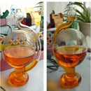 Glass Barometer Rain Shine Weather Forecast Bottle & Red Pigment DIY Decor